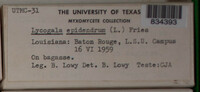 Image Associated With the Occurence